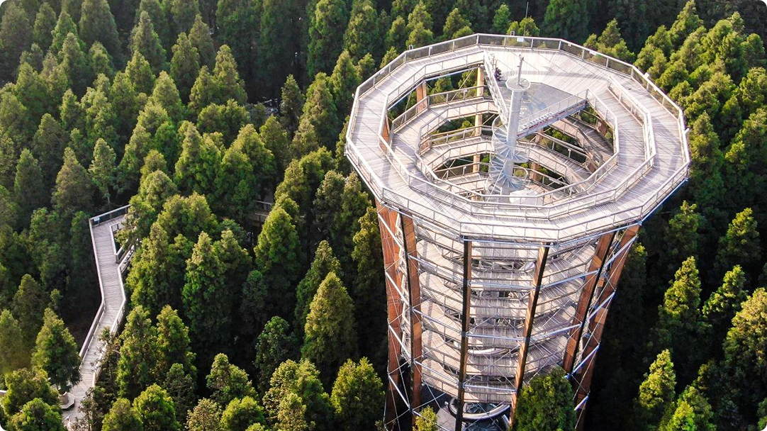 Xiannv Mountain - ทางเดินบนยอดไม้, ฉงชิ่ง